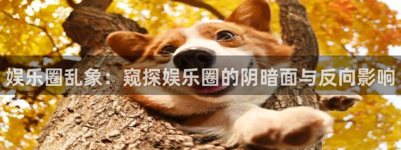 星空娱乐传媒有限公司