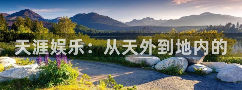 星空娱乐官网版