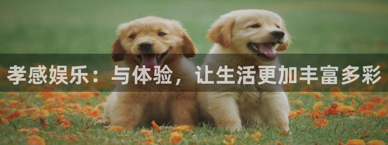 星空娱乐游戏